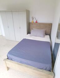 Botanic Gardens View (D10), Apartment #503884171